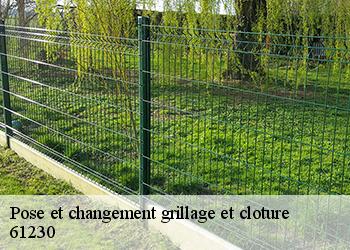 Pose et changement grillage et cloture  61230