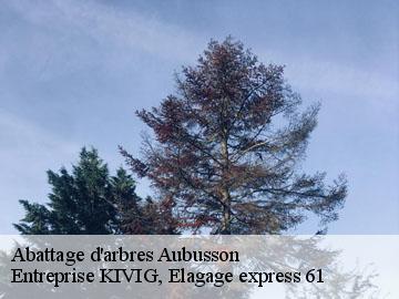 Abattage d'arbres  aubusson-61100 Entreprise KIVIG, Elagage express 61