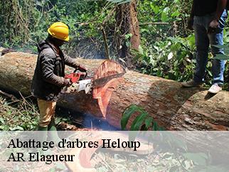 Abattage d'arbres  heloup-61250 AR Elagueur