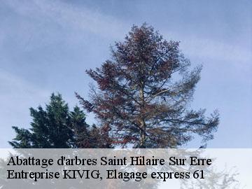 Abattage d'arbres  saint-hilaire-sur-erre-61340 Entreprise KIVIG, Elagage express 61