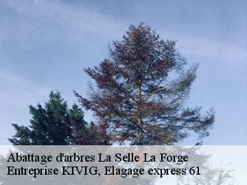 Abattage d'arbres  la-selle-la-forge-61100 Entreprise KIVIG, Elagage express 61