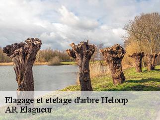 Elagage et etetage d'arbre  heloup-61250 AR Elagueur