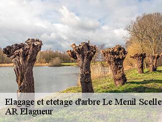 Elagage et etetage d'arbre le-menil-scelleur-61320 AR Elagueur