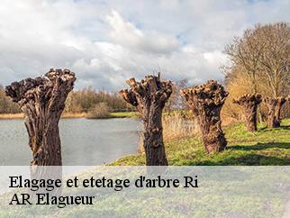 Elagage et etetage d'arbre  ri-61210 AR Elagueur