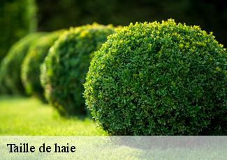 Taille de haie