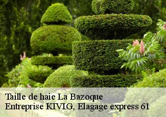 Taille de haie  la-bazoque-61100 Entreprise KIVIG, Elagage express 61