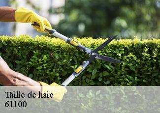 Taille de haie  61100