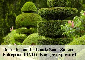 Taille de haie  la-lande-saint-simeon-61100 Entreprise KIVIG, Elagage express 61