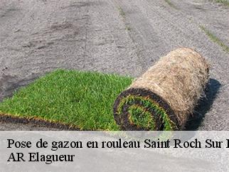 Pose de gazon en rouleau  saint-roch-sur-egrenne-61350 AR Elagueur