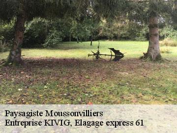 Paysagiste  moussonvilliers-61190 Entreprise KIVIG, Elagage express 61