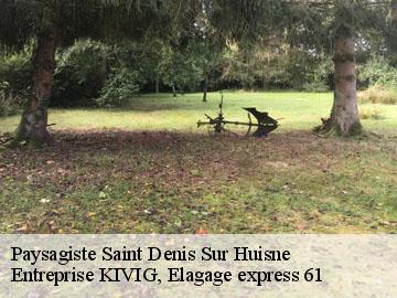 Paysagiste  saint-denis-sur-huisne-61400 Entreprise KIVIG, Elagage express 61