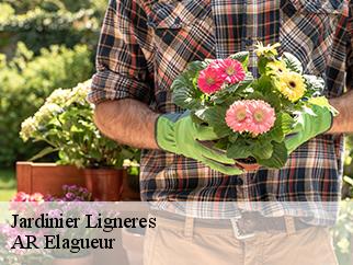 Jardinier  ligneres-61240 AR Elagueur