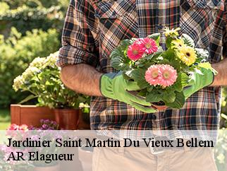 Jardinier  saint-martin-du-vieux-bellem-61130 AR Elagueur