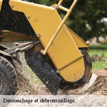 Dessouchage et débroussaillage