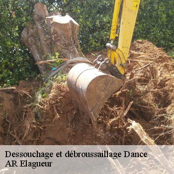 Dessouchage et débroussaillage dance-61340 AR Elagueur