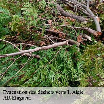 Evacuation des déchets verts l-aigle-61300 AR Elagueur