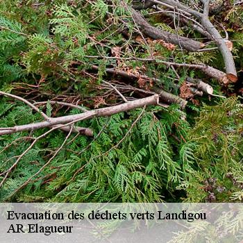 Evacuation des déchets verts landigou-61100 AR Elagueur