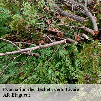 Evacuation des déchets verts  livaie-61420 AR Elagueur