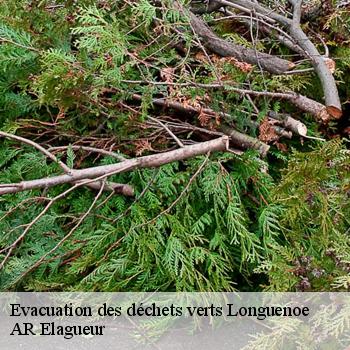 Evacuation des déchets verts longuenoe-61320 AR Elagueur