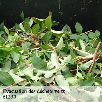 Evacuation des déchets verts 61230