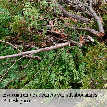 Evacuation des déchets verts rabodanges-61210 AR Elagueur