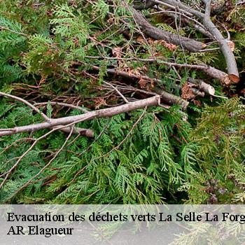 Evacuation des déchets verts la-selle-la-forge-61100 AR Elagueur